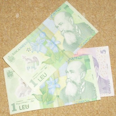 Scădere puternică a leului